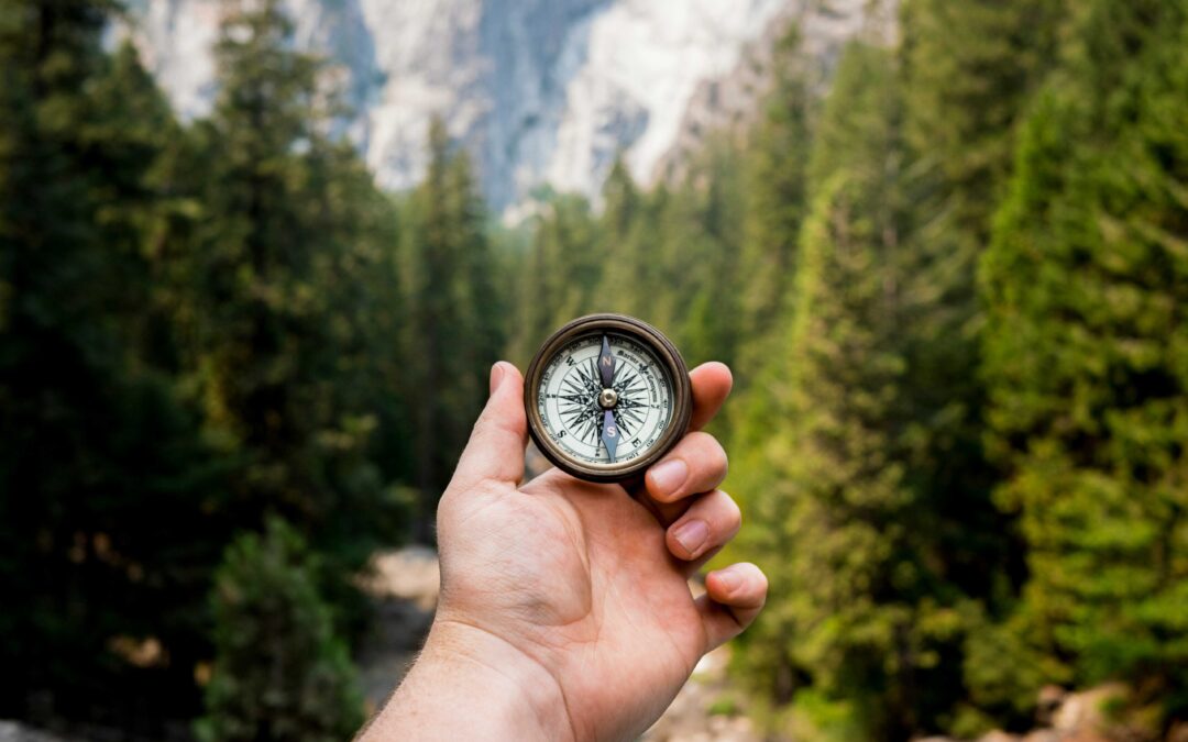 A coaching A személyes és szakmai fejlődés segítője